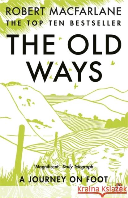 The Old Ways: A Journey on Foot Robert Macfarlane 9780141030586 Penguin Books Ltd