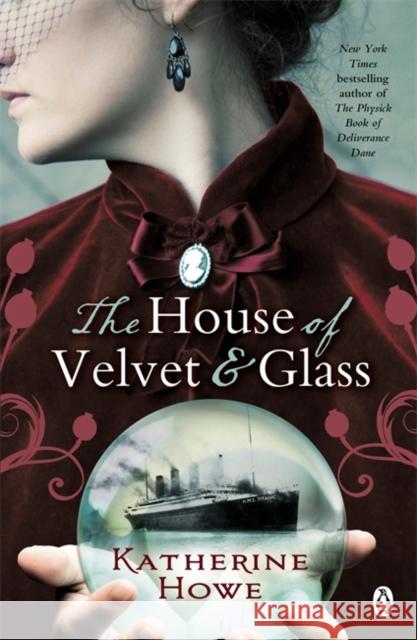 The House of Velvet and Glass Katherine Howe 9780141038179