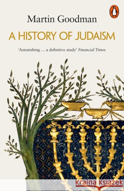 A History of Judaism Goodman Martin 9780141038216