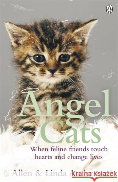 Angel Cats : When feline friends touch hearts and change lives Allen Anderson 9780141044415 0