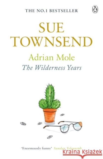 Adrian Mole: The Wilderness Years Sue Townsend 9780141046457 Penguin Books Ltd