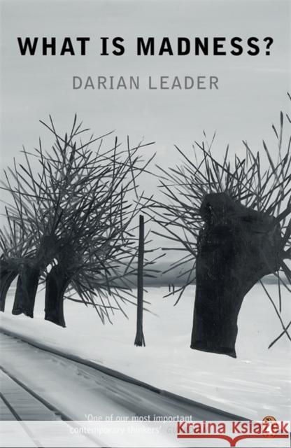 What is Madness? Darian Leader 9780141047355 PENGUIN UK