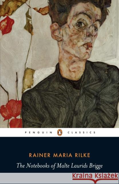 The Notebooks of Malte Laurids Brigge Rainer Maria Rilke 9780141182216