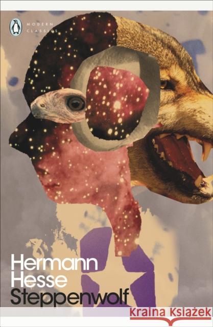 Steppenwolf Hesse Herman 9780141192093 Penguin Books Ltd