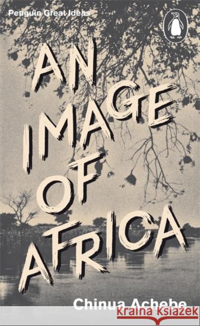 An Image of Africa Achebe Chinua 9780141192581 Penguin Books Ltd
