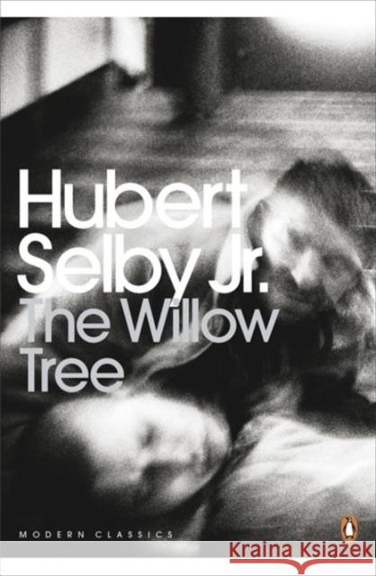 The Willow Tree Hubert Selby Jr 9780141195698 0