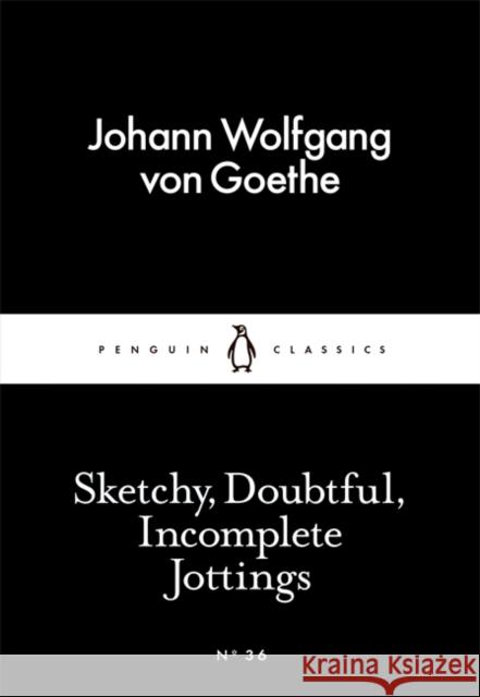 Sketchy, Doubtful, Incomplete Jottings Goethe Johann Wolfgang 9780141397139 Penguin Books Ltd