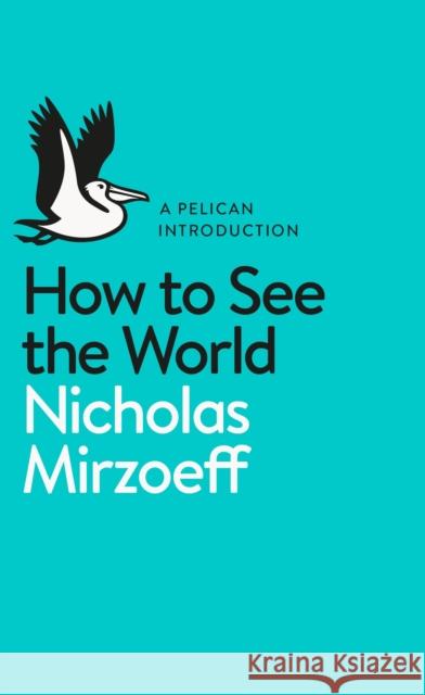 How to See the World Mirzoeff Nicholas 9780141977409