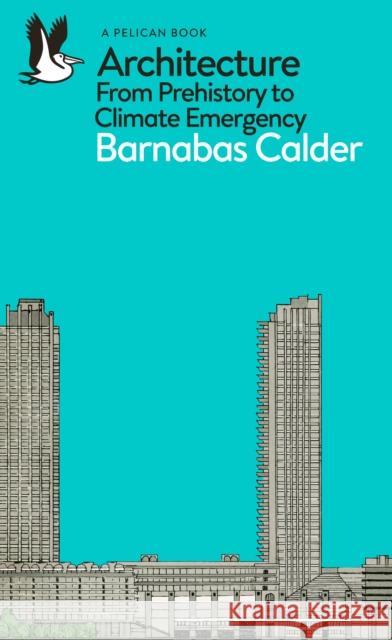 Architecture: From Prehistory to Climate Emergency Barnabas Calder 9780141978208 Penguin Books Ltd