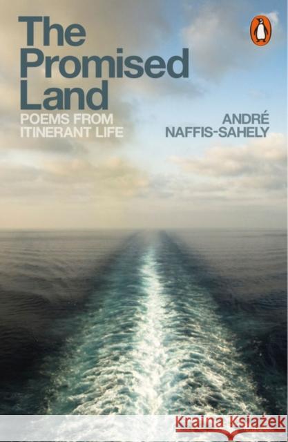 The Promised Land: Poems from Itinerant Life Naffis-Sahely, Andre 9780141984933 