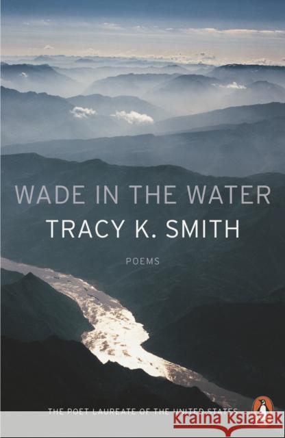 Wade in the Water Smith, Tracy K. 9780141987842