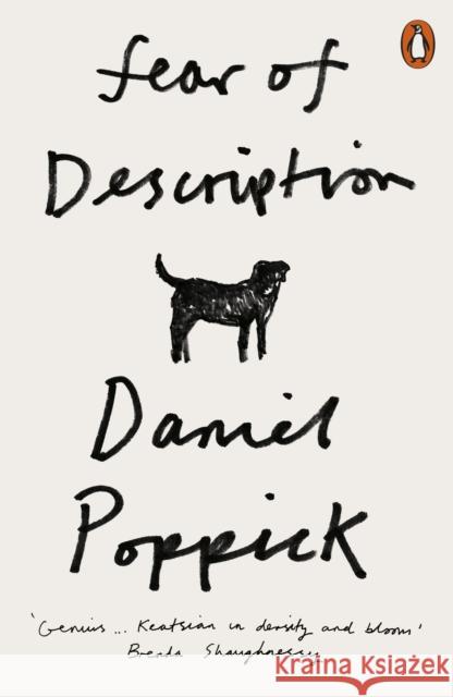 Fear of Description Daniel Poppick 9780141992679 Penguin Books Ltd