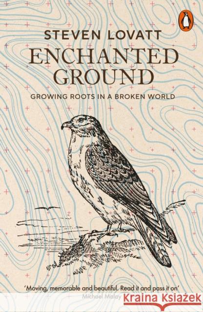 Enchanted Ground: Growing Roots in a Broken World Steven Lovatt 9780141999784