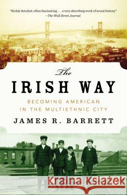 The Irish Way: Becoming American in the Multiethnic City James R. Barrett 9780143122807 Penguin Books