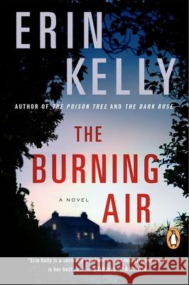 The Burning Air Erin Kelly 9780143124528