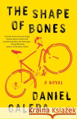 The Shape Of Bones: A Novel Daniel Galera 9780143131496 Penguin Putnam Inc