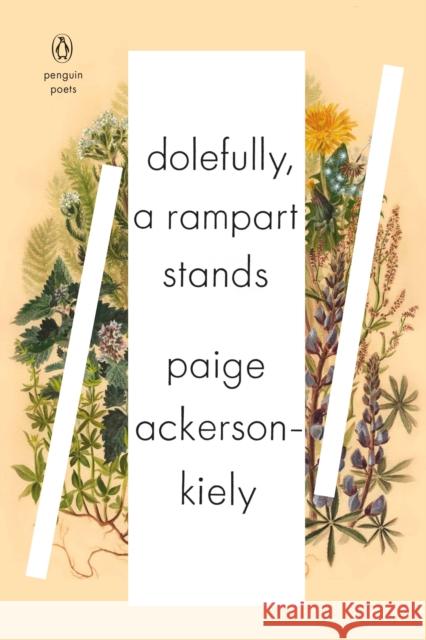 Dolefully, A Rampart Stands: Series: PENGUIN POETS Paige Ackerson-Kiely 9780143132684 Penguin Books