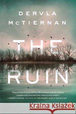 The Ruin Dervla McTiernan 9780143133124 Penguin Books