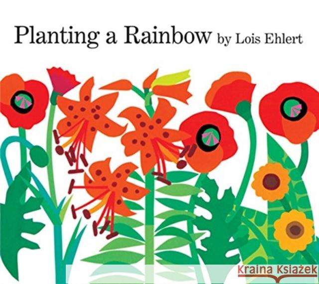 Planting a Rainbow Lap Board Book Ehlert, Lois 9780152063047 Red Wagon Books