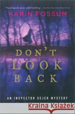 Don't Look Back Karin Fossum Felicity David 9780156031363