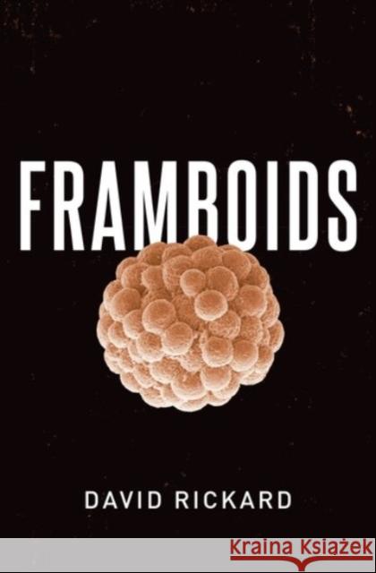 Framboids David Rickard 9780190080112 Oxford University Press, USA