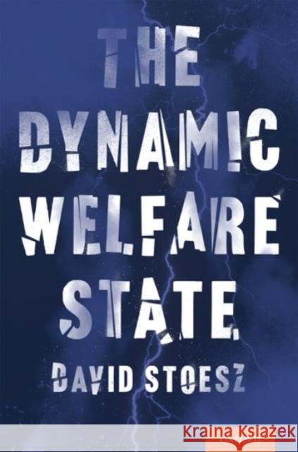 The Dynamic Welfare State David Stoesz 9780190251123 Oxford University Press, USA