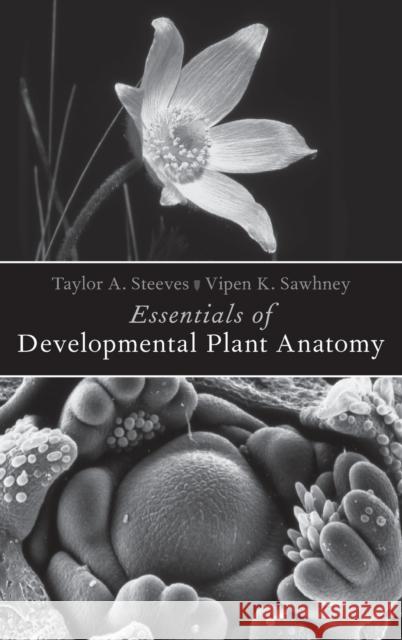 Essentials of Developmental Plant Anatomy Taylor A. Steeves Vipen K. Sawhney 9780190657055 Oxford University Press, USA