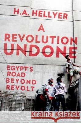 A Revolution Undone: Egypt's Road Beyond Revolt H. a. Hellyer 9780190659738 Oxford University Press, USA