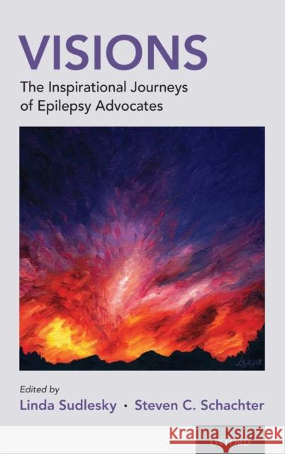 Visions: The Inspirational Journeys of Epilepsy Advocates Linda Sudlesky Steven C. Schachter 9780190692070 Oxford University Press, USA