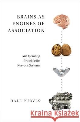 Brains as Engines of Association: An Operating Principle for Nervous Systems Dale Purves 9780190880163 Oxford University Press, USA