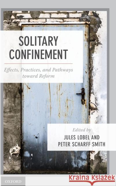 Solitary Confinement: Effects, Practices, and Pathways Toward Reform Lobel, Jules 9780190947927 Oxford University Press, USA