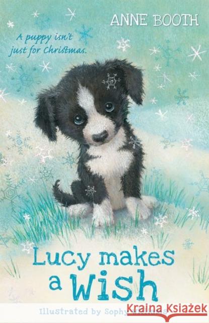 Lucy Makes a Wish Anne Booth Sophy Williams  9780192772480