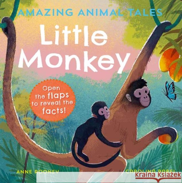 Amazing Animal Tales: Little Monkey Anne Rooney 9780192780898