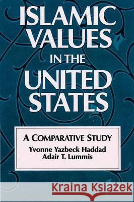 Islamic Values in the United States: A Comparative Study Haddad, Yvonne Yazbeck 9780195041132