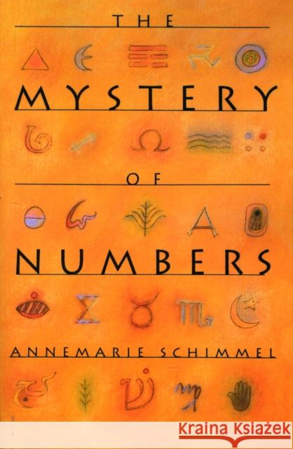 The Mystery of Numbers Annemarie Schimmel 9780195089196 0