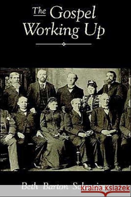 The Gospel Working Up: Progress and the Pulpit in Nineteenth-Century Virginia Schweiger, Beth Barton 9780195111958 Oxford University Press, USA