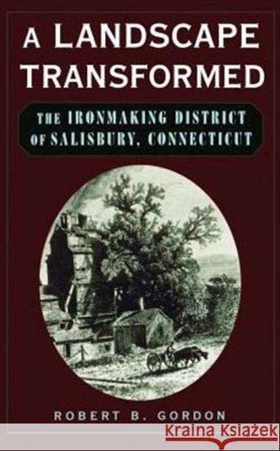 A Landscape Transformed: The Ironmaking District of Salisbury, Connecticut Gordon, Robert B. 9780195128185 Oxford University Press