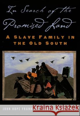 In Search of the Promised Land: A Slave Family in the Old South Franklin, John Hope 9780195160888 Oxford University Press