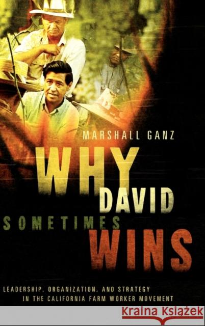 Why David Sometimes Wins: Leadership, Organization, and Strategy in the California Farm Worker Movement Ganz, Marshall 9780195162011 Oxford University Press, USA