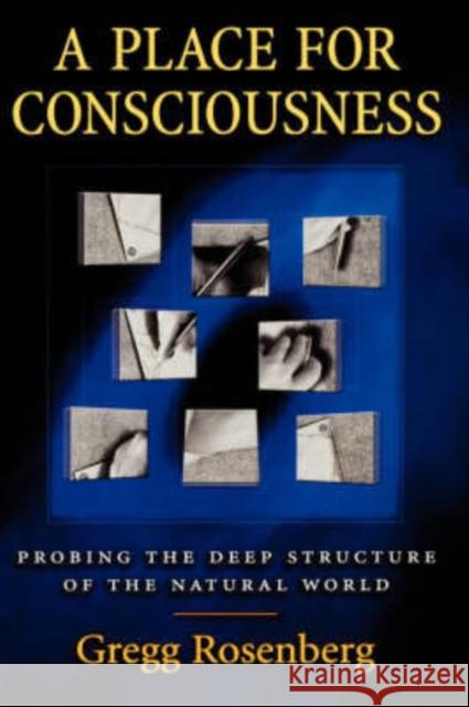A Place for Consciousness : Probing the Deep Structure of the Natural World Gregg Rosenberg David J. Chalmers 9780195168143 