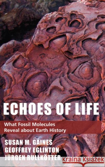 Echoes of Life: What Fossil Molecules Reveal about Earth History Gaines, Susan M. 9780195176193 Oxford University Press, USA