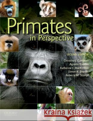Primates in Perspective Christina Campbell Agustin Fuentes Katherine MacKinnon 9780195390438 Oxford University Press, USA