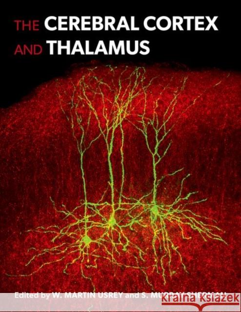 The Cerebral Cortex and Thalamus  9780197676158 Oxford University Press Inc