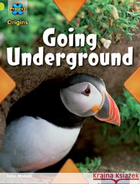 Project X Origins: Lime Book Band, Oxford Level 11: Underground: Going Underground John Malam   9780198302469 Oxford University Press