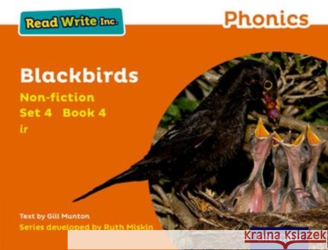 Read Write Inc. Phonics: Orange Set 4 Non-Fiction 4 Blackbirds Gill Munton Ruth Miskin  9780198373667 Oxford University Press