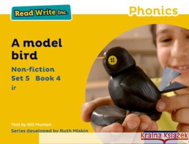 Read Write Inc. Phonics: Yellow Set 5 Non-fiction 4 A Model Bird Munton, Gill 9780198373735