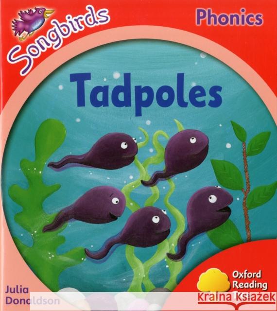 Oxford Reading Tree Songbirds Phonics: Level 4: Tadpoles UNKNOWN 9780198388517