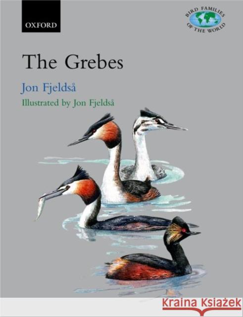 Grebes: Podicipedidae Fjeldså, Jon 9780198500643 Oxford University Press