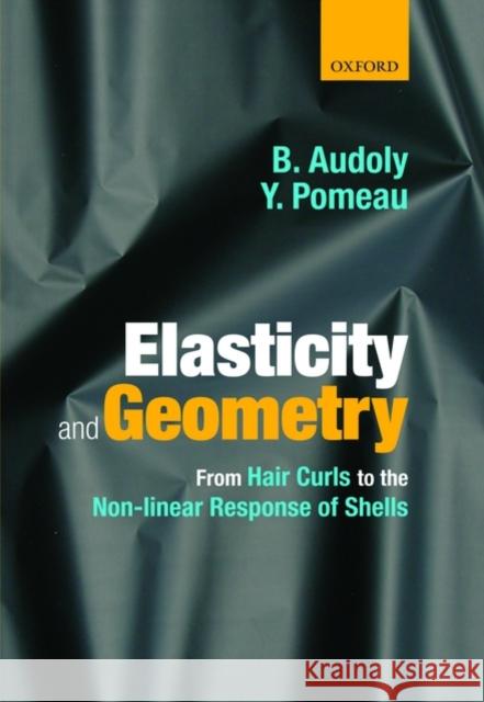 Elasticity and Geometry: From Hair Curls to the Nonlinear Response of Shells Audoly, Basile 9780198506256