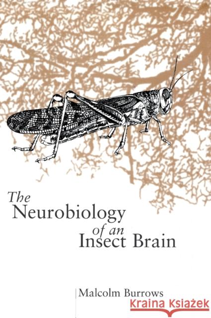Neurobiol Insect Brain C Burrows 9780198523444